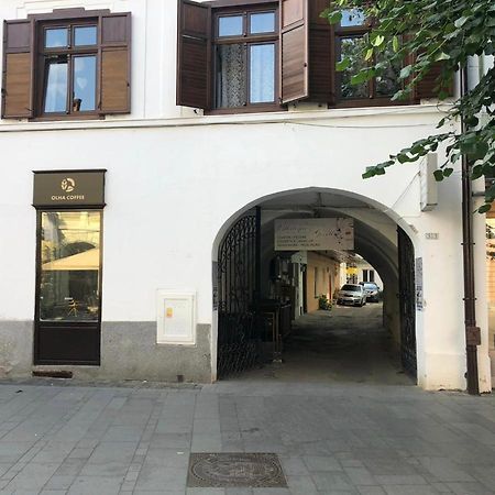 Gizell Apartment 1 Nagyszeben Kültér fotó