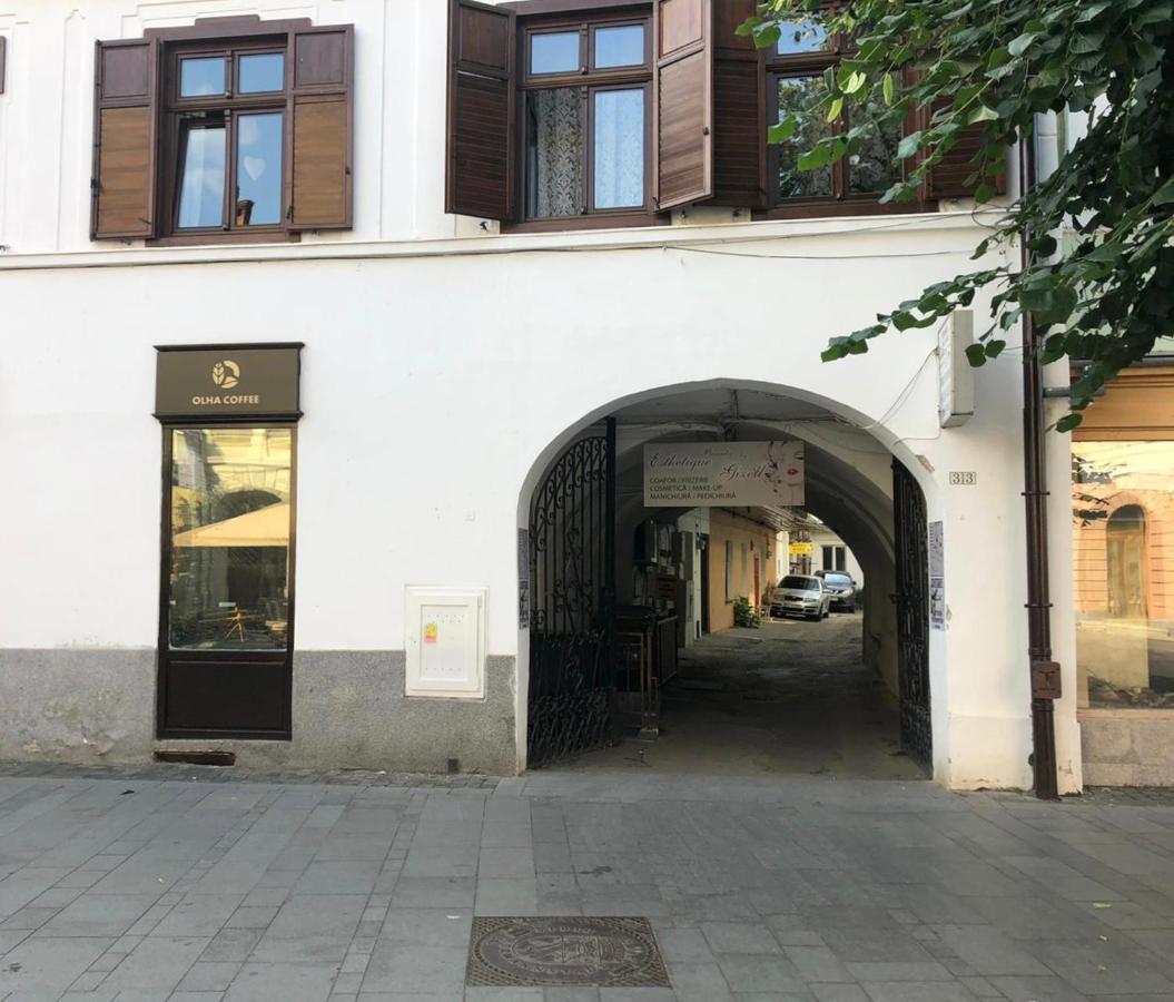 Gizell Apartment 1 Nagyszeben Kültér fotó